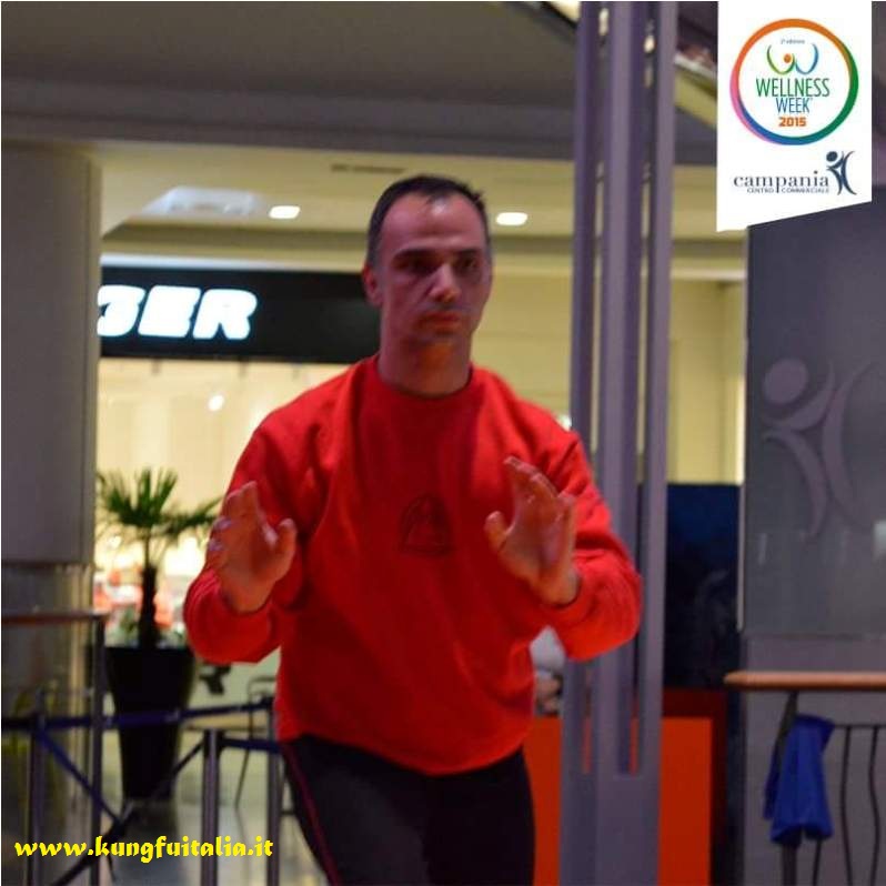 Wellness week Campania Caserta Kung Fu Academy con Sifu Salvatore Mezzone Tai Chi Wing Chun Tjun Tsun shaolin e Ip Man arti marziali www.kungfuitalia.it IMAA Italia (7)